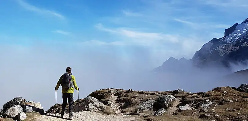 bastones de trekking
