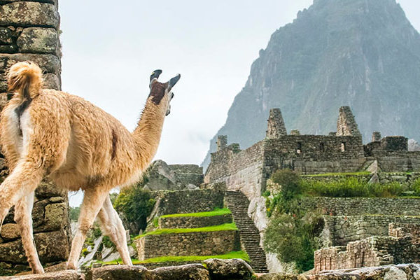Como Acceder a Machu Picchu Como Acceder a Machu Picchu