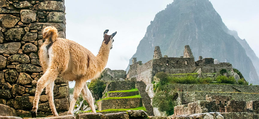 como acceder a Machu Picchu 1 Waman Adventures