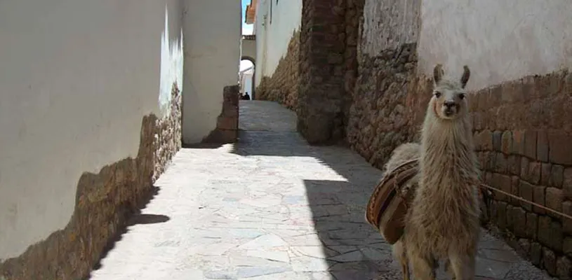 SIETE calles de Cusco