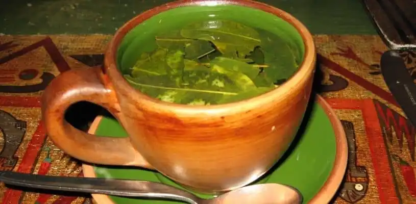 mate de coca