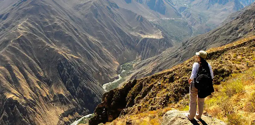 Perú y sus maravillas- cañón de colca