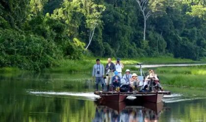 El Parque Nacional del Manu: Todo lo que debes saber El Parque Nacional del Manu: Todo lo que debes saber