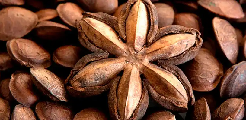 Sacha inchi peruano, semilla amazónica conocida como maní del Inca