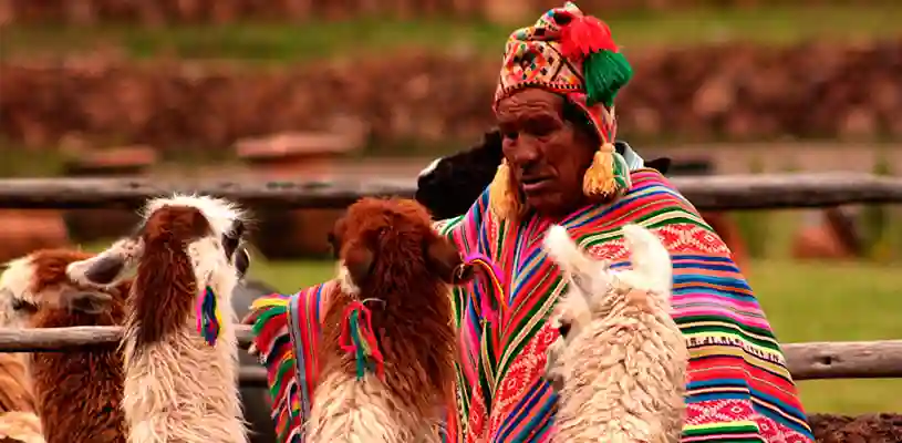 Awanacancha en Cusco, centro textil andino con artesanas y camélidos cerca del Valle Sagrado