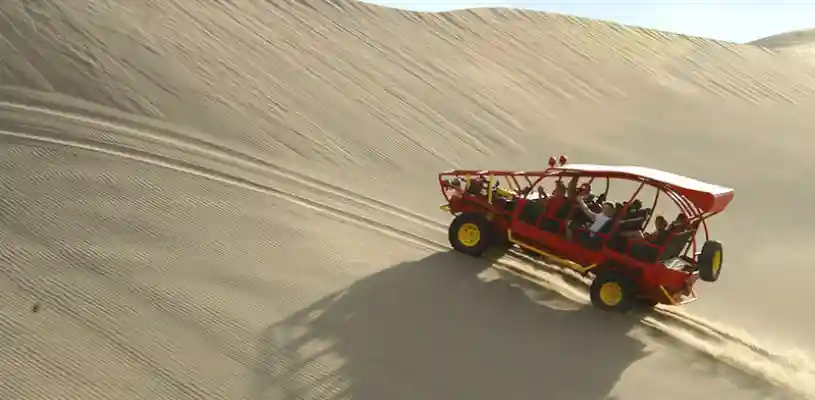 BUGGIE