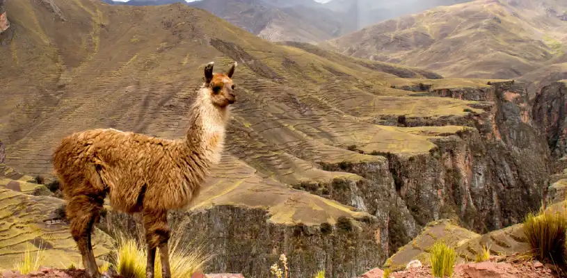 Cañon de Ananiso - Waman adventures