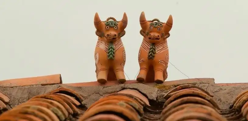techo toritos