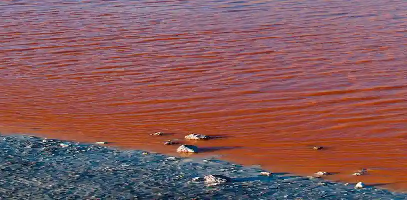 La Laguna Colorada Waman Adventures 1