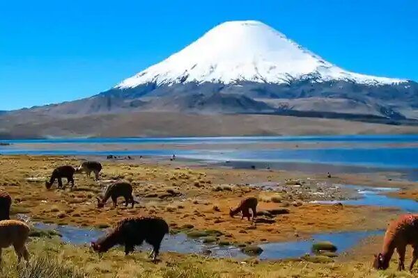 Reserva Nacional Salinas y Aguada Blanca