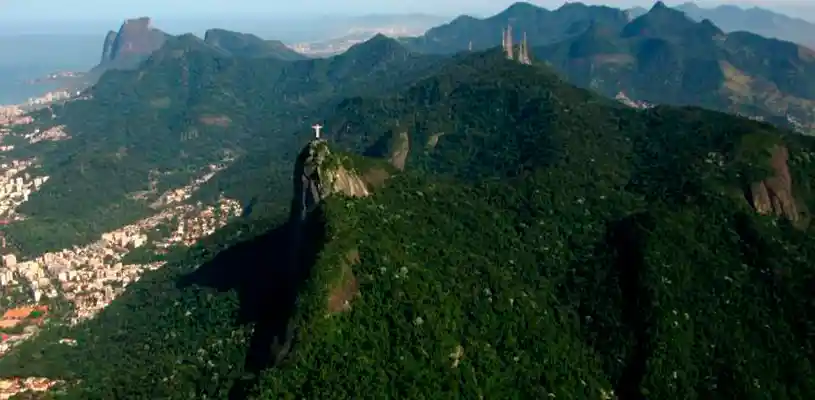 tijuca