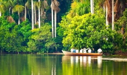 El lago más hermoso de la selva peruana – Lago Sandoval – Tambopata El lago más hermoso de la selva peruana – Lago Sandoval – Tambopata