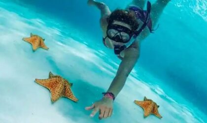 Cozumel, la isla más bella del Caribe Mexicano – ¿Qué hacer? Cozumel, la isla más bella del Caribe Mexicano – ¿Qué hacer?