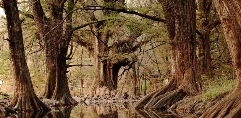 DESCUBRE EL PARAÍSO SECRETO DE GUANAJUATO – LAS MUSAS DESCUBRE EL PARAÍSO SECRETO DE GUANAJUATO – LAS MUSAS