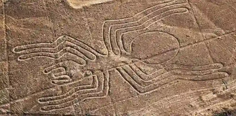 Araña. líneas de Nazca