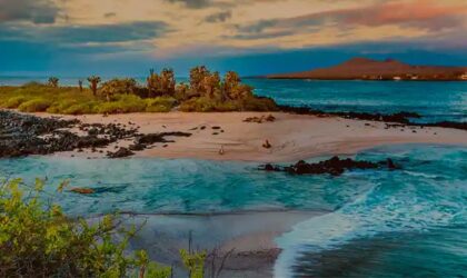 ISLAS GALÁPAGOS, LA RESERVA MARINA MÁS GRANDE DEL MUNDO ISLAS GALÁPAGOS, LA RESERVA MARINA MÁS GRANDE DEL MUNDO