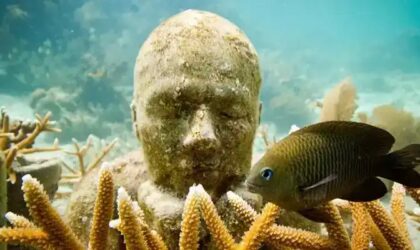 ¿Alguna vez has visitado un museo bajo el mar? – Museo Subacuático de Arte ¿Alguna vez has visitado un museo bajo el mar? – Museo Subacuático de Arte