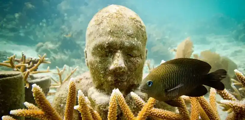 ¿Alguna vez has visitado un museo bajo el mar? – Museo Subacuático de Arte