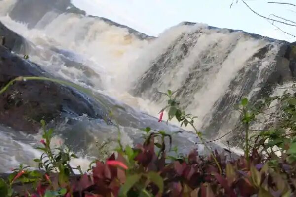 LOS SALTOS DEL MONDAY – UNA MARAVILLA NATURAL EN PARAGUAY LOS SALTOS DEL MONDAY – UNA MARAVILLA NATURAL EN PARAGUAY