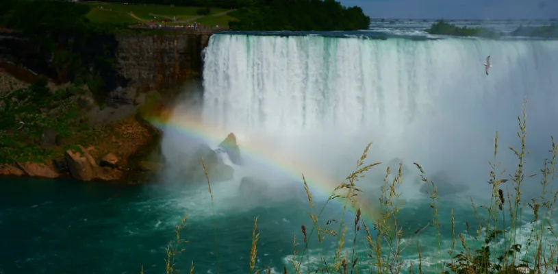 LAS CATARATAS DEL NIAGARA