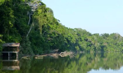 Parque Nacional del Manu, la biodiversidad del mundo Parque Nacional del Manu, la biodiversidad del mundo