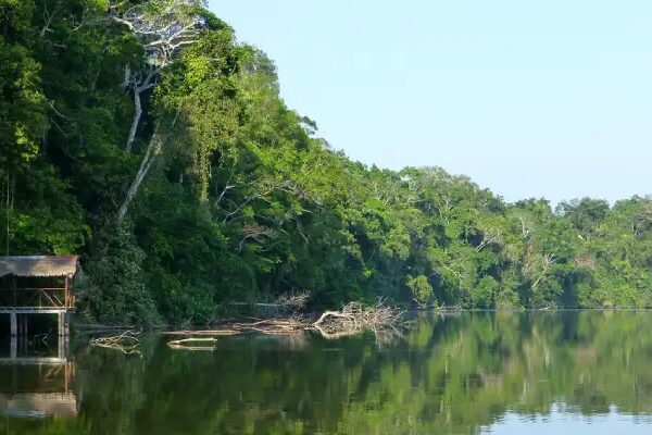 Parque Nacional del Manu, la biodiversidad del mundo Parque Nacional del Manu, la biodiversidad del mundo
