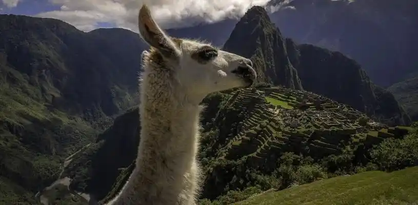 Machupicchu 2