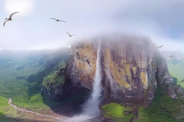 Salto del Ángel: la cascada de 979 m vinculada con las Cataratas del Paraíso de Up Salto del Ángel: la cascada de 979 m vinculada con las Cataratas del Paraíso de Up