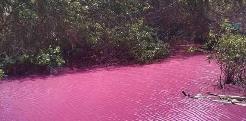 Rio Rosado, Colombia