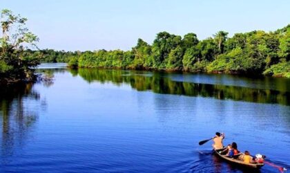 Animales del río Amazonas: 8 especies que viven en sus aguas Animales del río Amazonas: 8 especies que viven en sus aguas