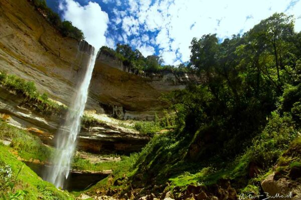 CATARATA YUMBILLA, UNO DE LOS TESOROS DEL AMAZONAS
