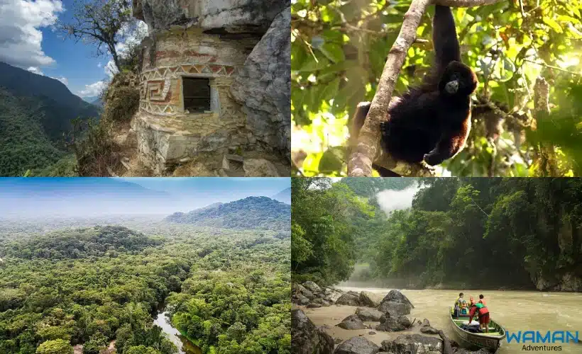 Collage of Río Abiseo National Park showing cloud forest landscapes, a primate in the canopy, ancient cliff ruins, and river exploration