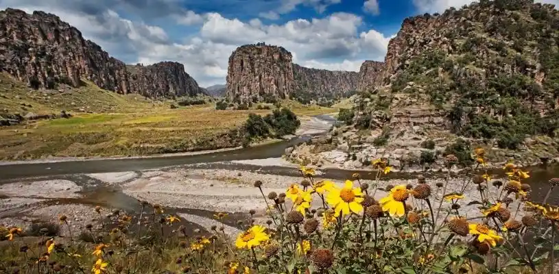 Suykutambo flora y fauna