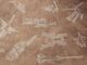 Lineas de Nazca