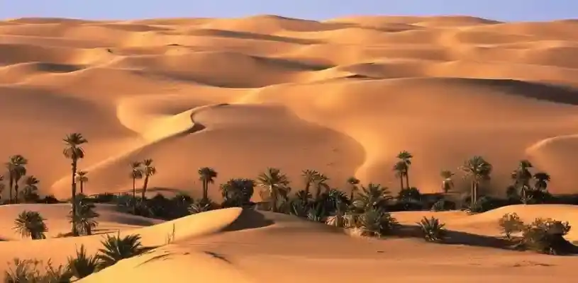 desierto de chihuahua