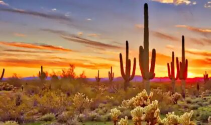 CONOCE EL DESIERTO DE CHIHUAHUA, EL MÁS EXTENSO DE AMÉRICA