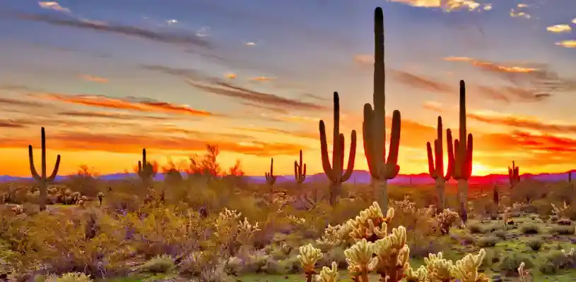 Desierto de Chiuahua