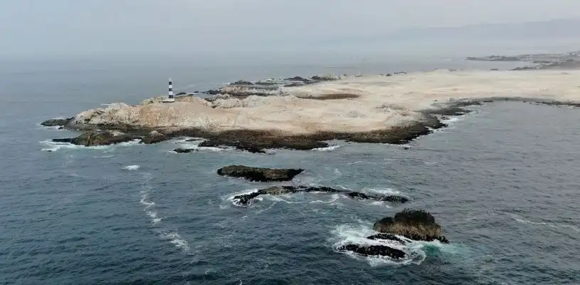 Punta Coles