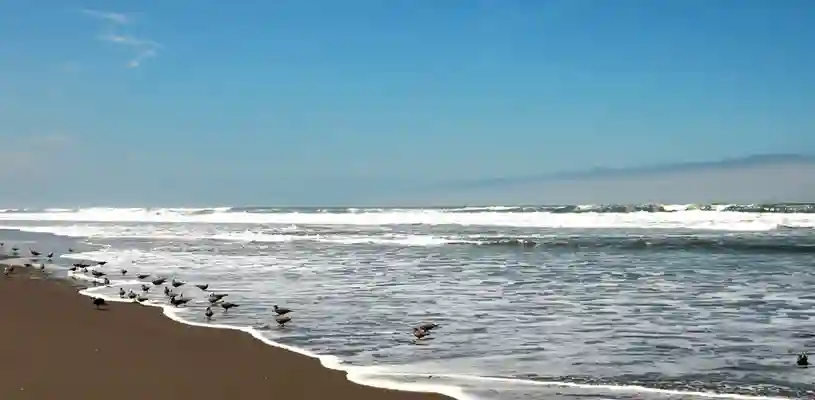 Playa mejía 