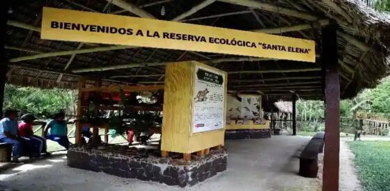 reserva ecológica turse- principales atractivos turísticos en Tarapoto