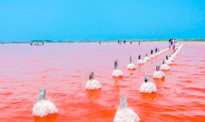 EL MAR ROSADO DE COLOMBIA CONOCE GALAREZAMBA EL MAR ROSADO DE COLOMBIA CONOCE GALAREZAMBA