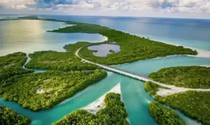Mexico’s Natural Heritage | 10 Places You Need to Visit Mexico’s Natural Heritage | 10 Places You Need to Visit