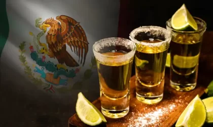 ORIGEN DEL TEQUILA | 2 historias que debes conocer ORIGEN DEL TEQUILA | 2 historias que debes conocer
