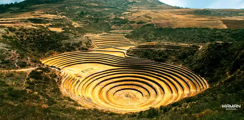 Moray Terraces