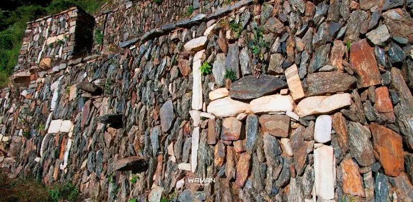 La figuras de llamas existentes en las construcciones incas de Choquequirao son las mejores atracciones del recorrido por el complejo arqueológico.