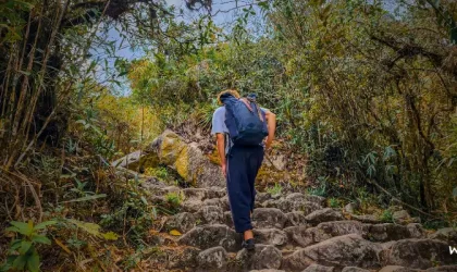 Descubriendo los Secretos de la Altitud en Machu Picchu: Guía para Viajeros Intrépidos Descubriendo los Secretos de la Altitud en Machu Picchu: Guía para Viajeros Intrépidos
