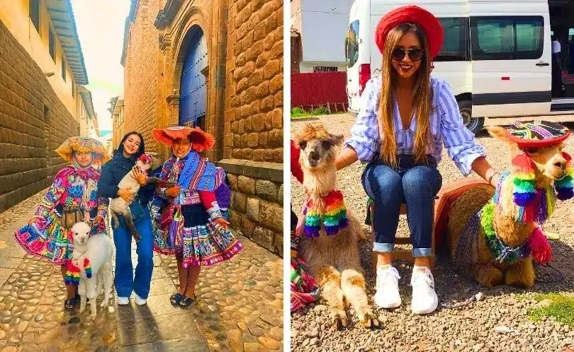 Colorful llamas are an essential part of Cusco’s traditional landscape and daily culture.