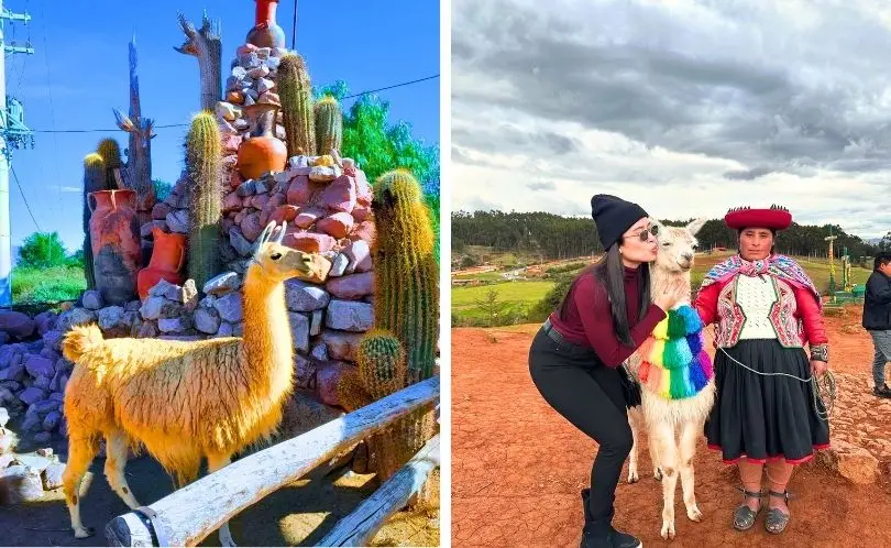 Tourist smiling while taking a photo with a friendly llama in Cusco.
