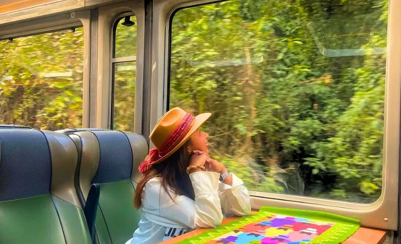 La viajera puede apreciar la naturaleza, ya que el Vistadome tiene ventanas más amplias.