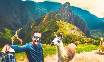 Animales en Machu Picchu: llamas, osos y especies que pocos viajeros llegan a ver